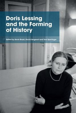 Kniha Doris Lessing and the Forming of History BRAZIL KEVIN  SERGEA