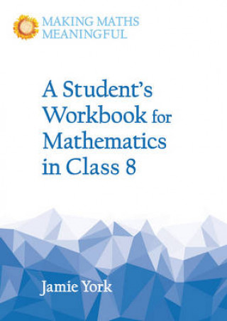 Kniha Student's Workbook for Mathematics in Class 8 Jamie York