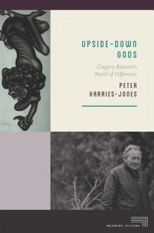 Book Upside-Down Gods Peter Harries-Jones