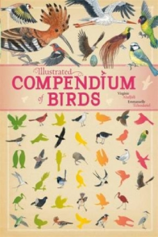 Kniha Illustrated Compendium of Birds Virginie Aladjidi