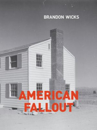 Kniha American Fallout Brandon Wicks