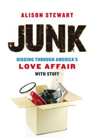 Buch Junk Alison Stewart