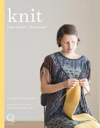 Kniha Knit Pam Allen