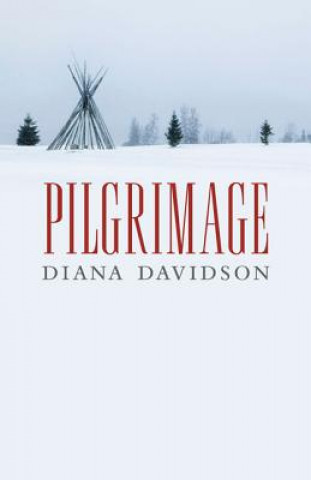 Buch Pilgrimage Diana Davidson