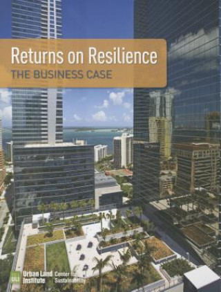Kniha Returns on Resilience Kathleen McCormick