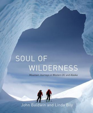 Book Soul of Wilderness John Baldwin