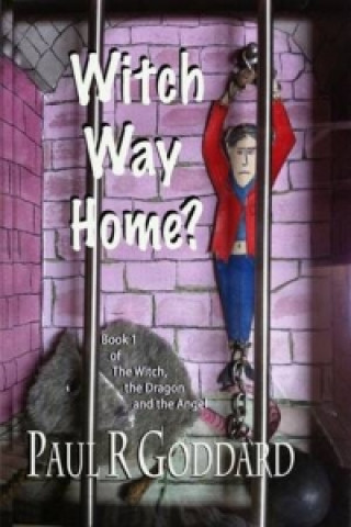 Könyv Witch Way Home (Book 1) Paul R. Goddard