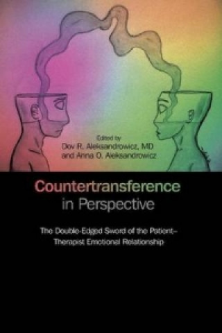 Kniha Countertransference in Perspective Dov R. Aleksandrowicz