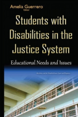 Könyv Students with Disabilities in the Justice System 