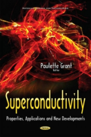 Βιβλίο Superconductivity Paulette Grant