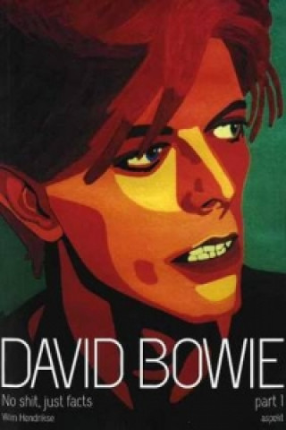 Kniha David Bowie Wim Hendrikse