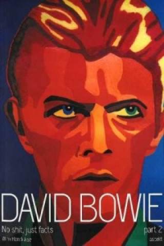 Könyv David Bowie Wim Hendrikse