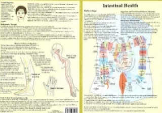 Materiale tipărite Intestinal Health -- Double Sided A4 Jan van Baarle