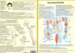 Tiskovina Intestinal Health -- Double Sided A4 Jan van Baarle