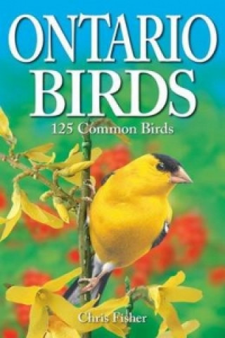 Libro Ontario Birds Chris Fisher