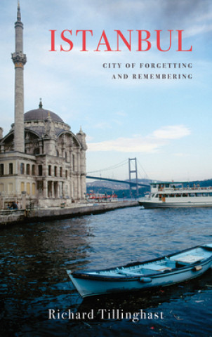 Kniha Istanbul Richard Tillinghast