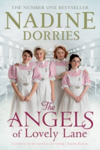 Carte Angels Of Lovely Lane Nadine Dorries