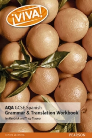 Buch Viva! AQA GCSE Spanish Grammar and Translation Workbook Tracy Traynor