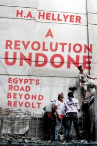 Kniha Revolution Undone H. A. Hellyer