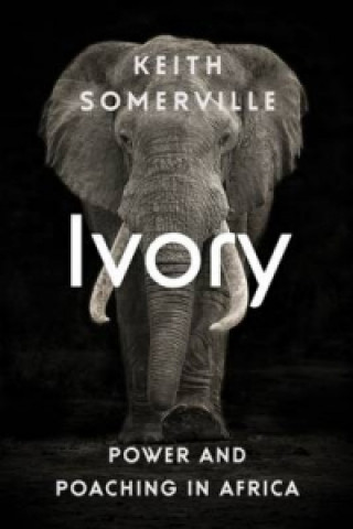 Kniha Ivory Keith Somerville