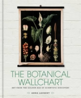 Carte Botanical Wall Chart Anna Laurent