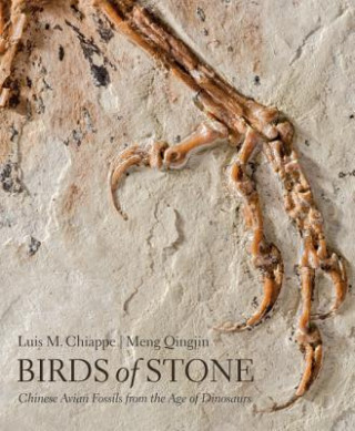 Könyv Birds of Stone Luis M. Chiappe