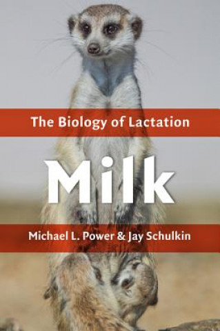 Carte Milk Michael L. Power