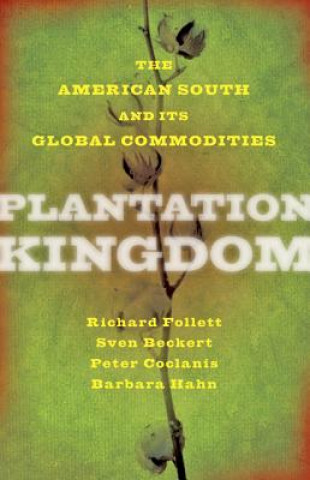 Kniha Plantation Kingdom Richard Follett