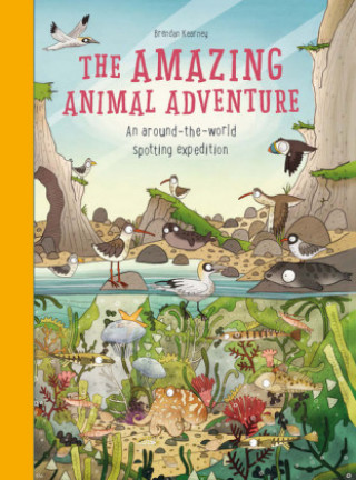 Kniha Amazing Animal Adventure Anna Claybourn