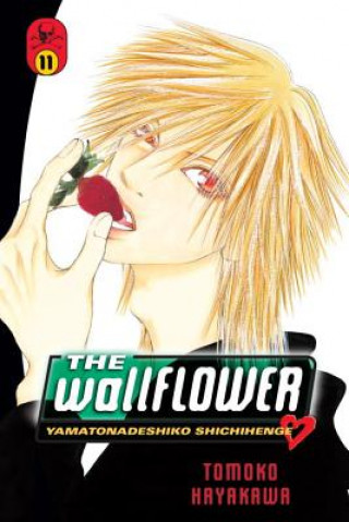 Kniha Wallflower 11 Tomoko Hayakawa
