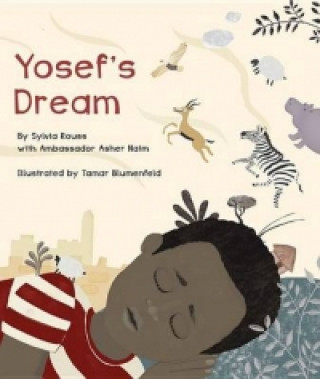 Könyv Yosef's Dream Sylvia Rouss