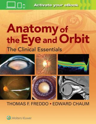 Carte Anatomy of the Eye and Orbit Thomas Freddo