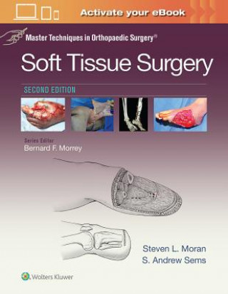 Книга Master Techniques in Orthopaedic Surgery: Soft Tissue Surgery Steven L. Moran