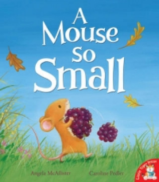 Könyv Mouse So Small Angela McAllister