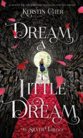 Kniha Dream a Little Dream Kerstin Gier