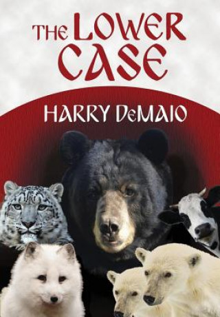 Książka Lower Case Harry Demaio