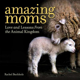 Książka Amazing Moms Rachel Buchholz