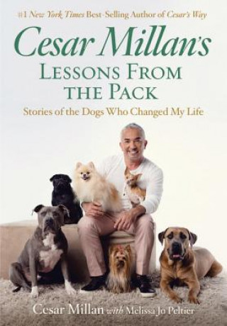 Carte Cesar Millan's Lessons From the Pack Cesar Millan