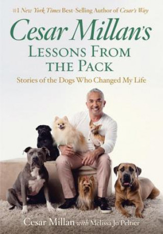 Kniha Cesar Millan's Lessons From the Pack Cesar Millan