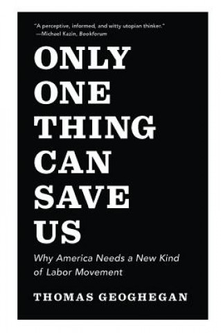 Kniha Only One Thing Can Save Us Thomas Geoghegan