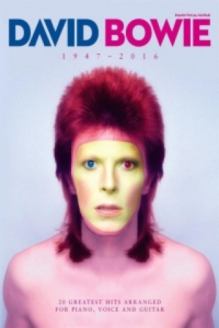 Knjiga David Bowie David Bowie