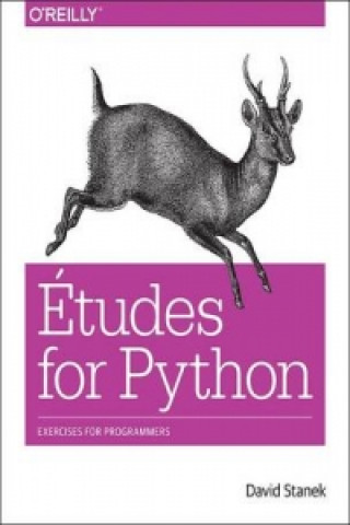 Könyv Etudes for Python David Stanek