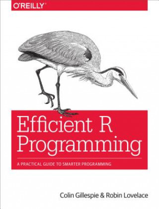 Kniha Efficient R Programming Colin Gillespie