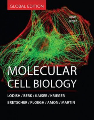 Carte Molecular Cell Biology LODISH H   BERK A  E