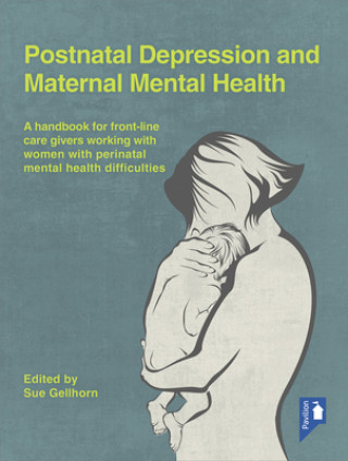 Kniha Postnatal Depression and Maternal Mental Health Sue Gellhorn