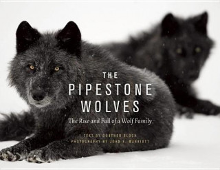 Książka Pipestone Wolves Gunther Bloch
