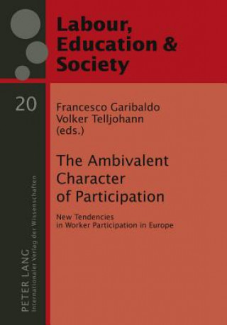 Könyv Ambivalent Character of Participation Francesco Garibaldo