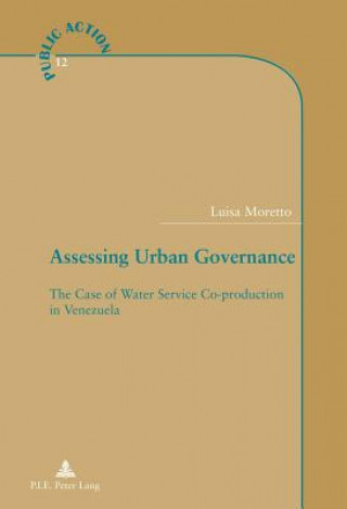 Kniha Assessing Urban Governance Luisa Moretto