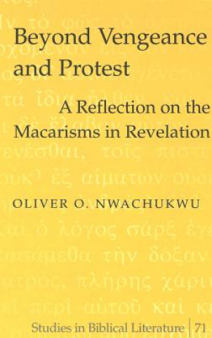 Kniha Beyond Vengeance and Protest Oliver O. Nwachukwu