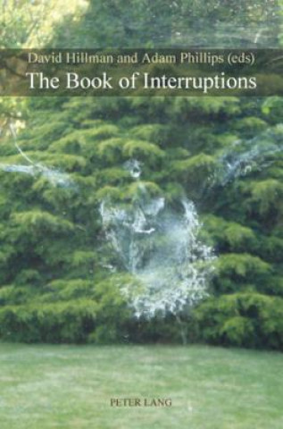Carte Book of Interruptions David Hillman